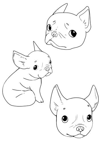 Me encanta dibujar animales!
